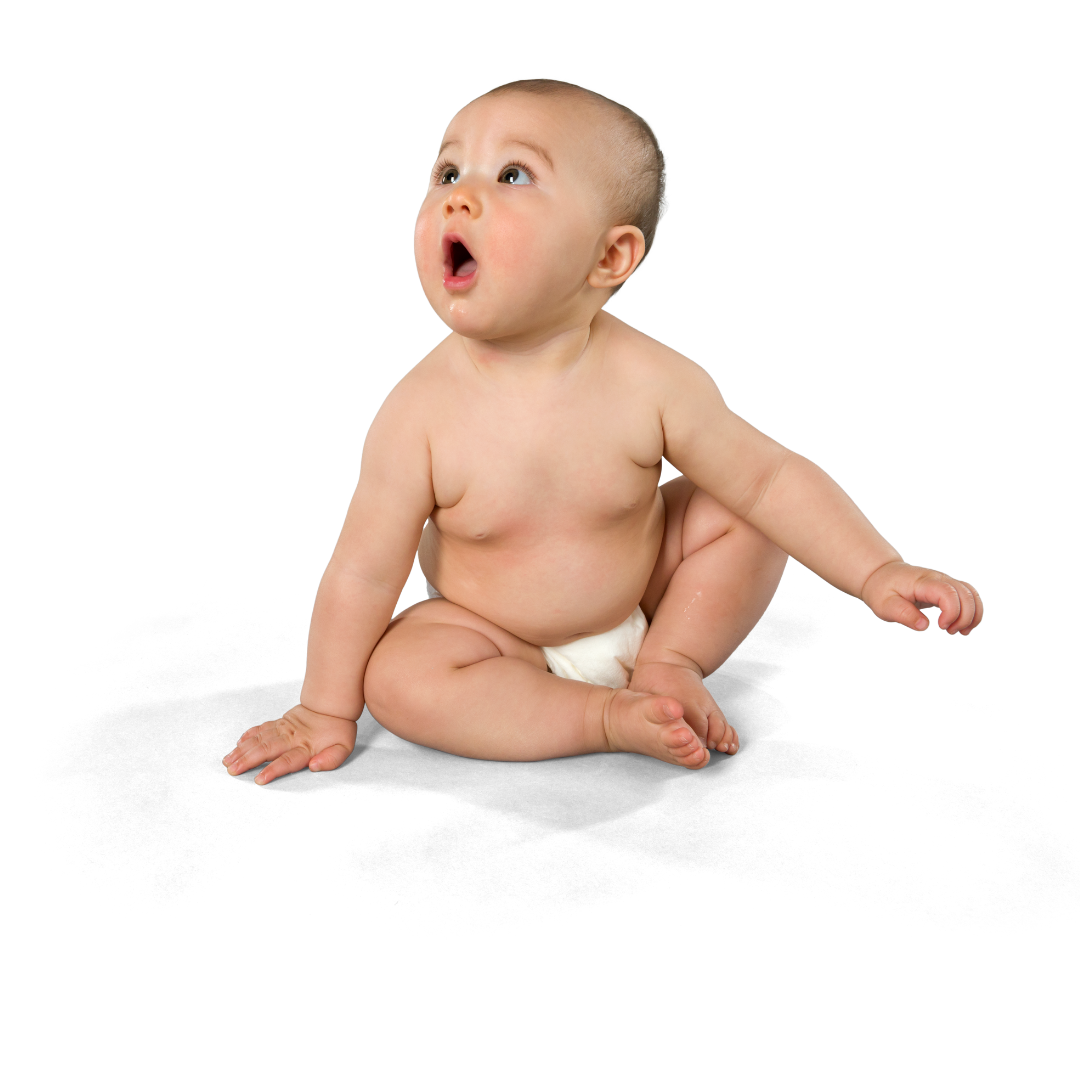 wrt workshop regresso trabalho