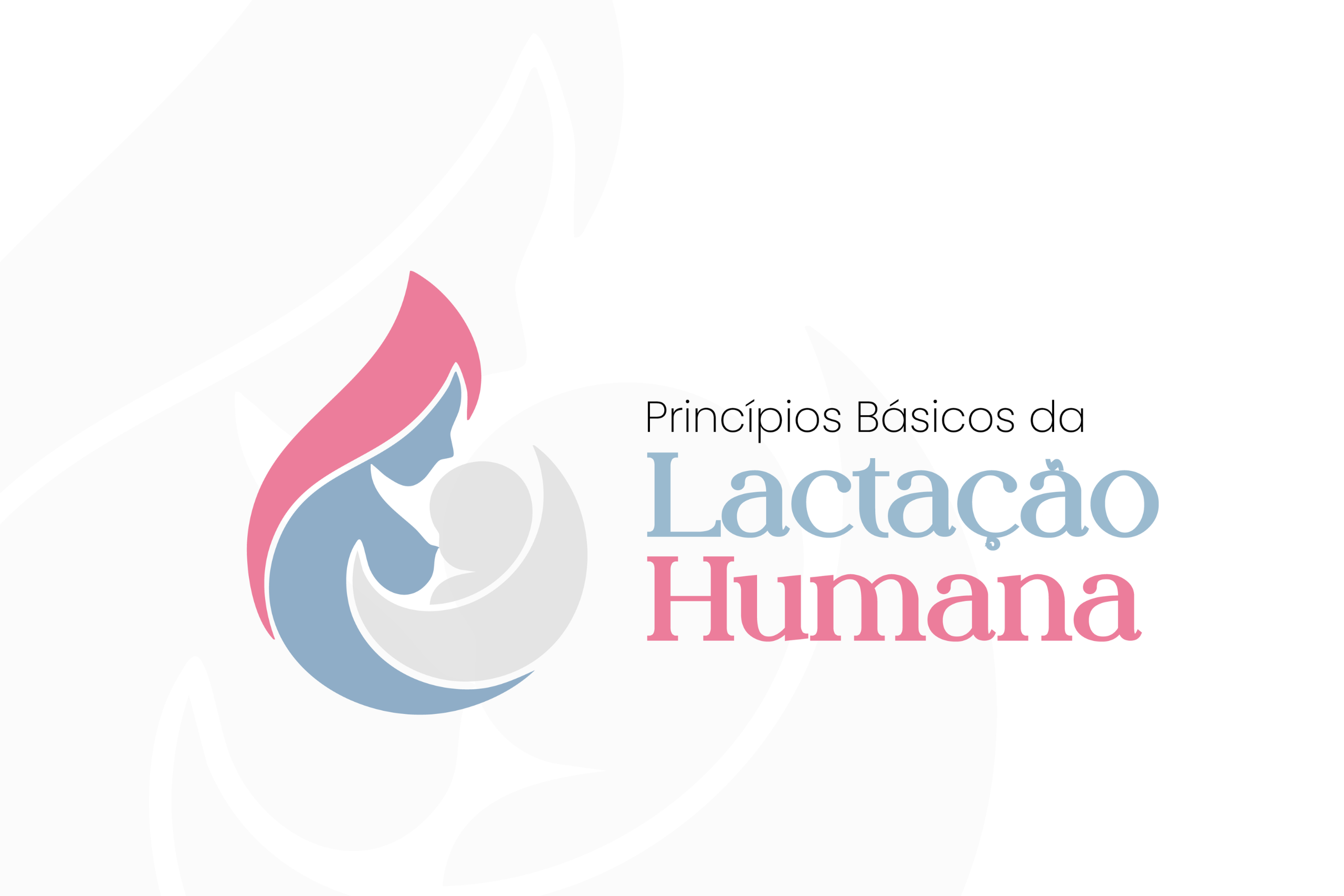 capas cursos wordpress site